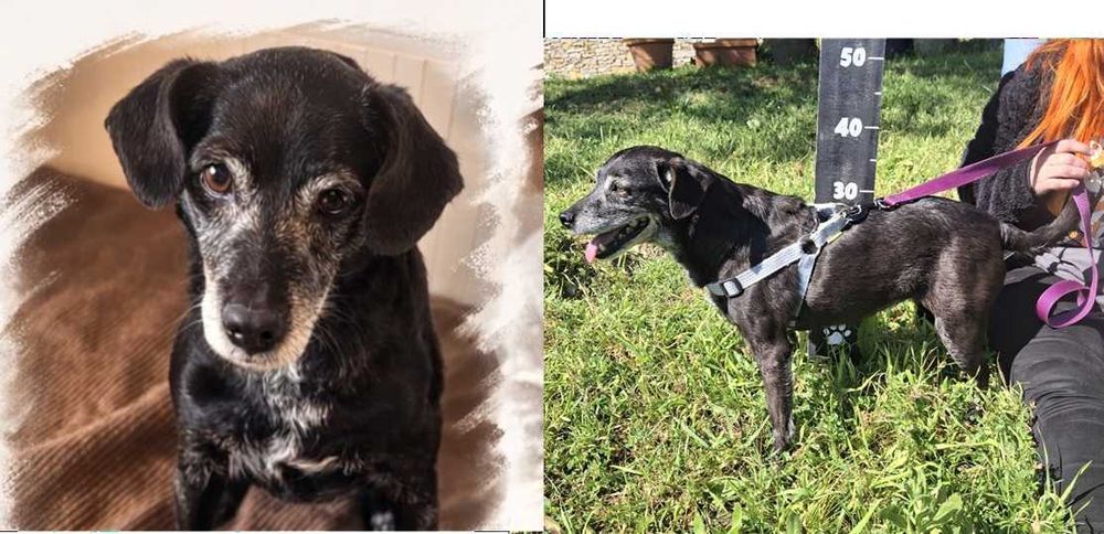 Maggie, menina simpática