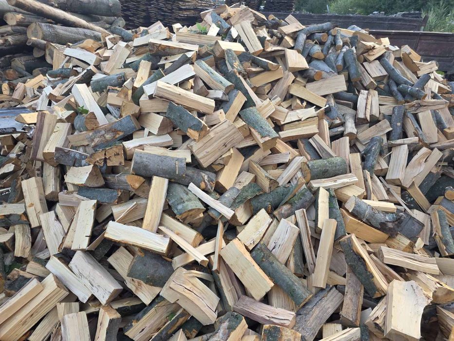 Дрова колоті порода бук