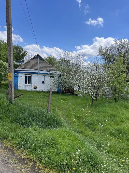 Продається будинок в с.Петропавлівка, Черкаська обл, м.Городище 7 км