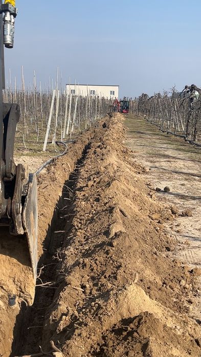 Uslugi minikoparka 5 ton