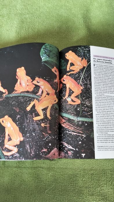 Livros interessantes