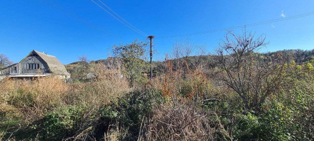 Продажа участка 20 соток Погребы Васильков Заречье без комиссии