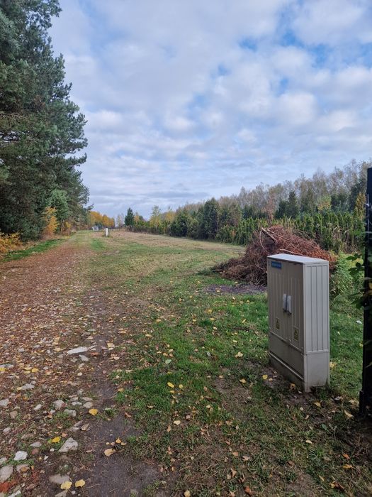 Sprzedaż działki z PnB Skierniewice otulina lasu