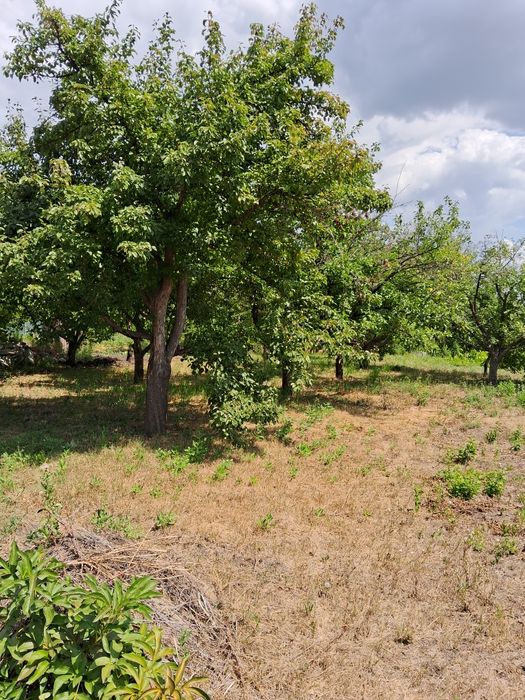 Продам участок 12 соток