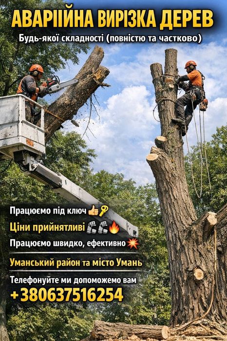 Аварійна вирізка дерев та частковий догляд
