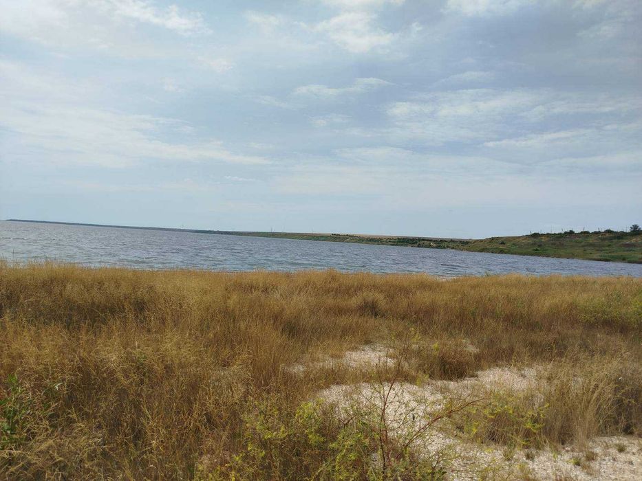 Бюджетний  відпочинок  на   Тилігульському лимані.