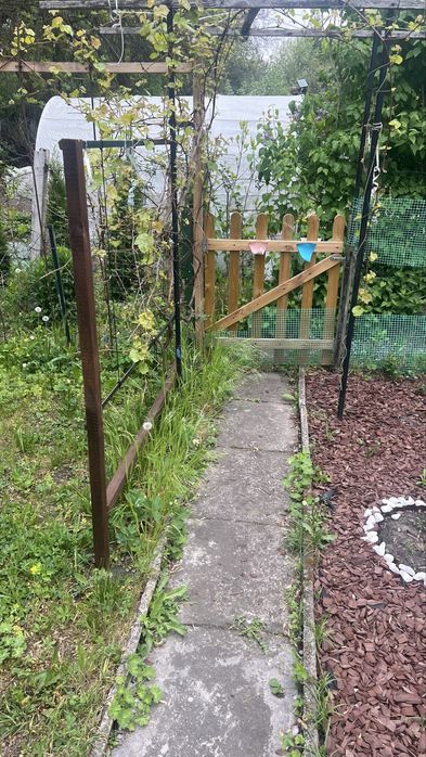 Działka ROD świetne miejsce na relaks z rodziną.