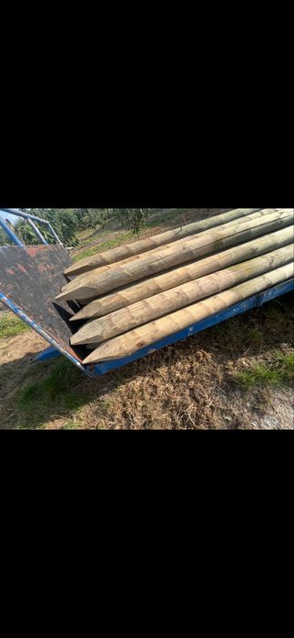 Impregnowane słupy drewniane sadownicze