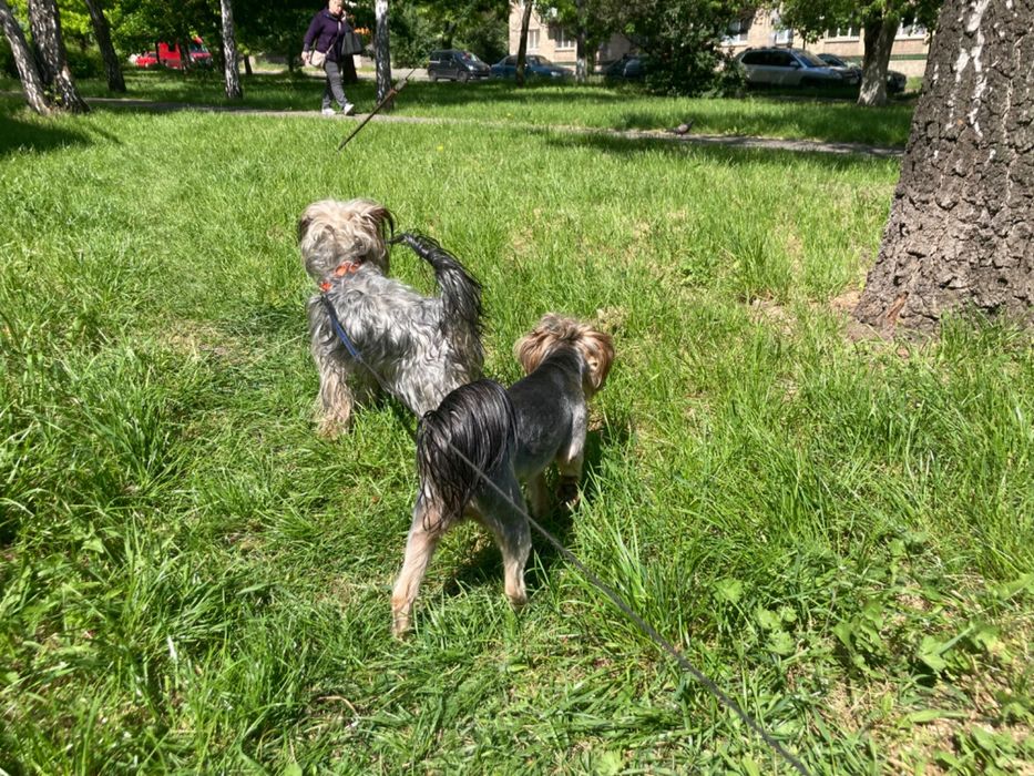 Прекрасные девочки и мальчики