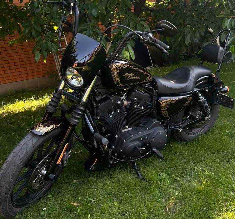 Harley-Davidson Sporster XL1200 Iron 2021 Аерографія