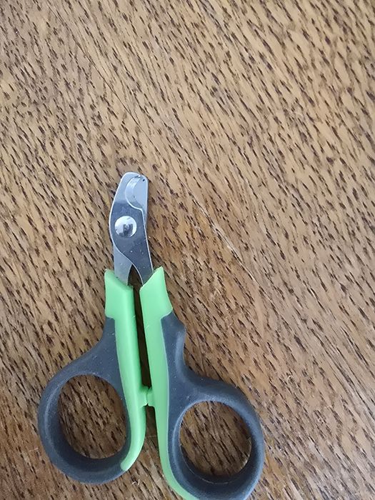 Obcinaczki dla swinki lub krolika