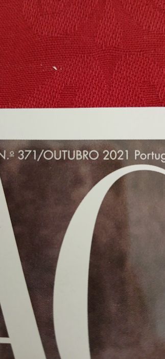 Activa - Vera Kolodzig