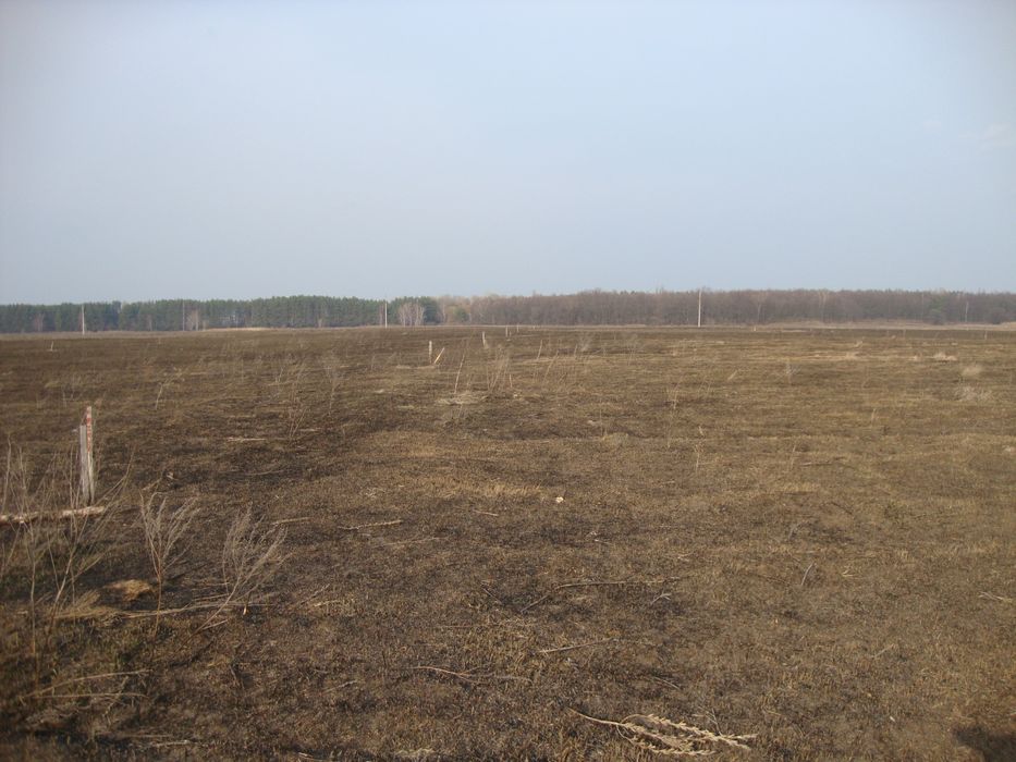 Продаж/обмін. Земельна ділянка с. Свідівок 11 сот.