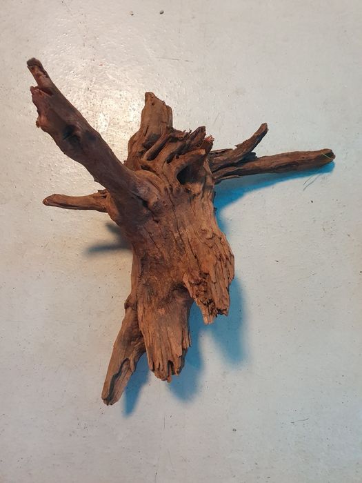 Korzenie do akwarium Dark wood Kraków (Swoszowice)