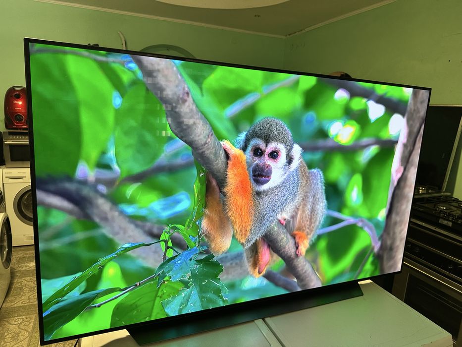 LG OLED65CX9LA – 65” OLED 4K Smart TV