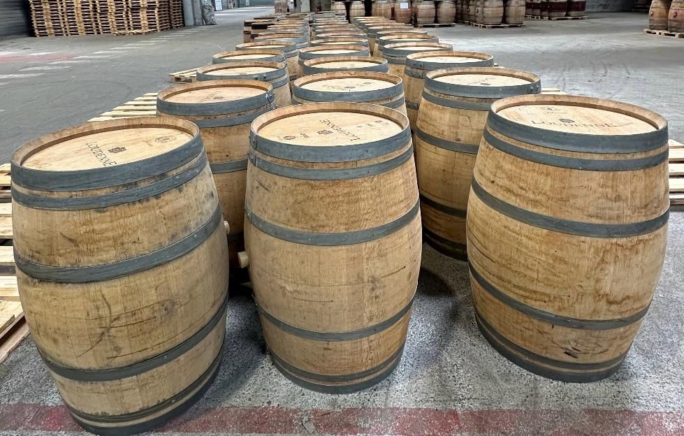Lote barricas vinho branco 225L - White wine barrels 225L