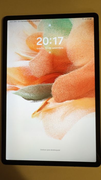 Samsung Galaxy Tab S7 FE 5G