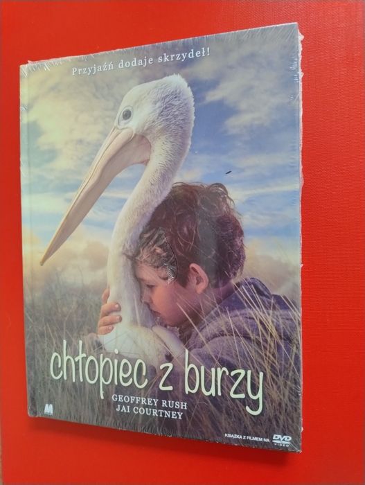 Chłopiec z burzy