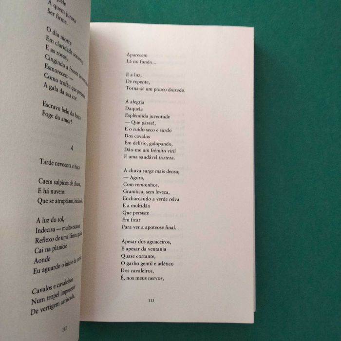 Canções e Outros Poemas - António Botto