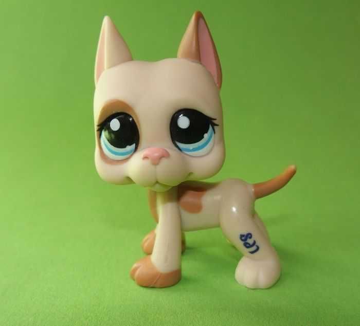 LPS Littlest Pet Shop Pop na wymianę shorthair jamnik spaniel dog
