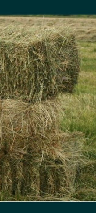 Продаю сіно.покос 2022рік.