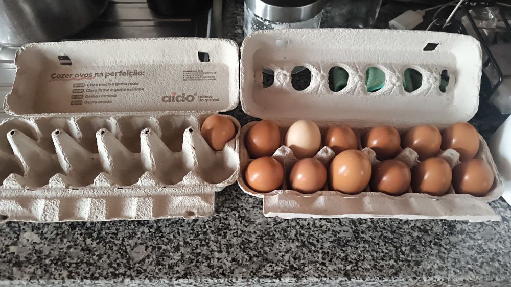 Ovos caseiros de galinhas criadas ao ar livre.