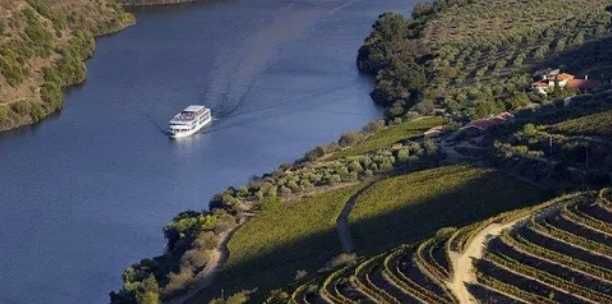 Vende-se terreno rústico com vista rio Douro