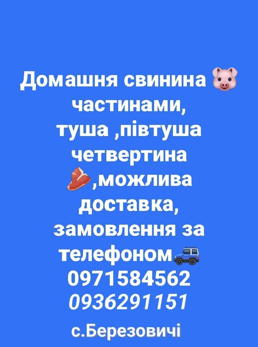 Домашня свинина частинами туша півтуша четвертинна