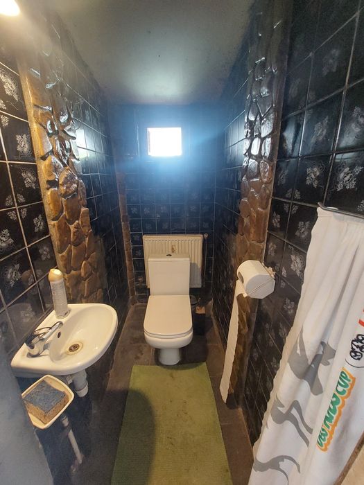 Центр! Два суміжних будинки + 24 сотих ділянка для життя та біз