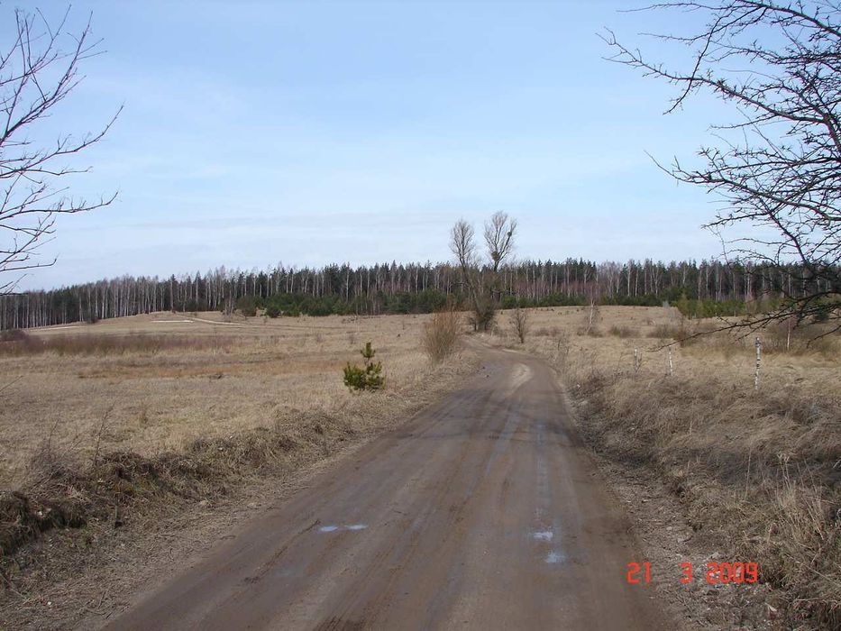 Teren 0,3166 ha pod mazurskie rancho - Widok 3