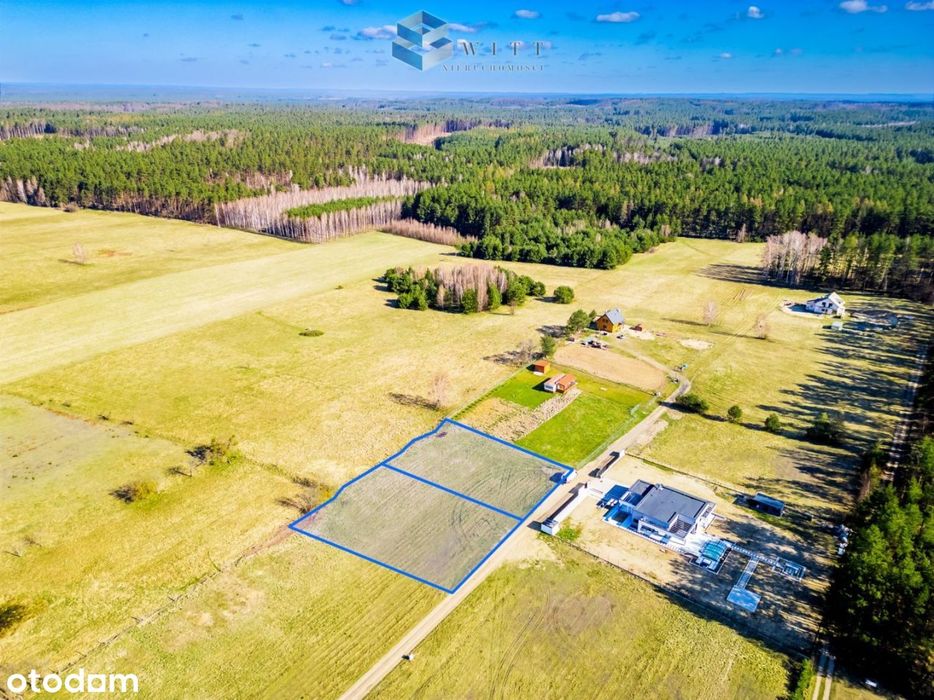 Kątno | Wz | 900 M do plaży | Szeląg Wielki - Widok 3