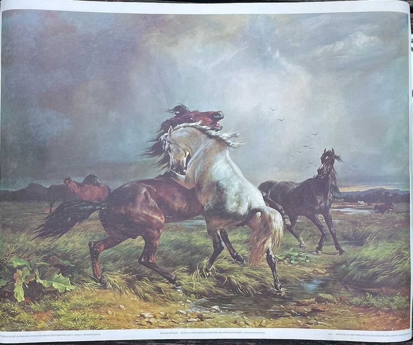 Poster Tauromaquia Colete Encarnado