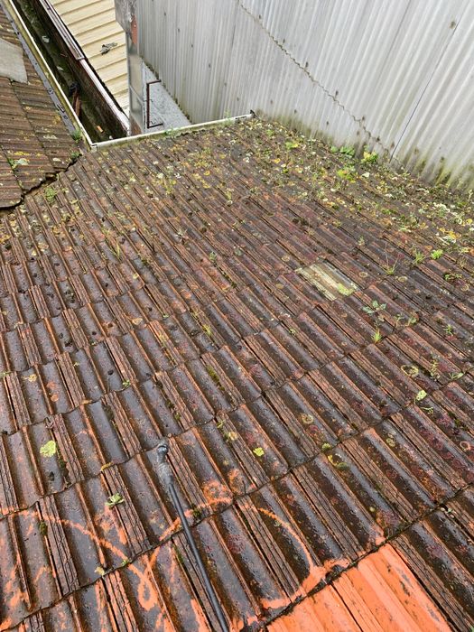 Lavagem de telhados , prédios e etc…