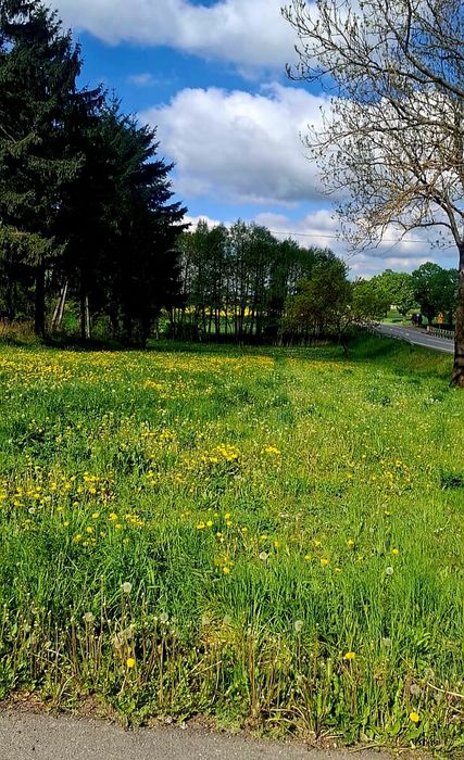 Drewniany Dom na Wsi  plus druga działka.
