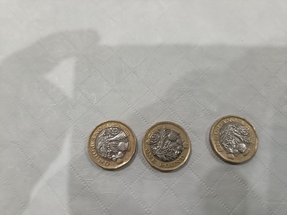 MOEDA 1 Libra RAINHA ELIZABETH II ONE POUND 2016