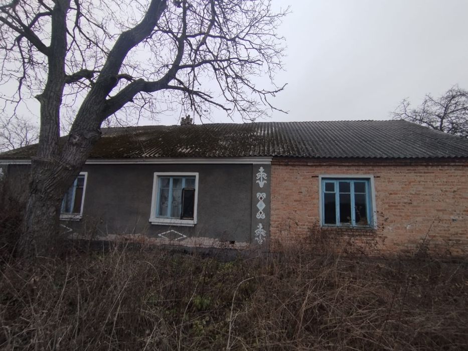 Будинок в селі Древині