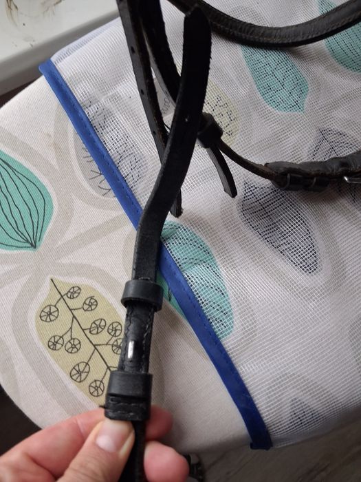 Skórzane ogłowie r. Cob