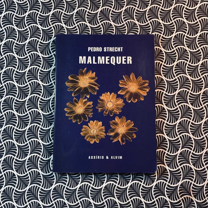 Malmequer - Pedro Strecht