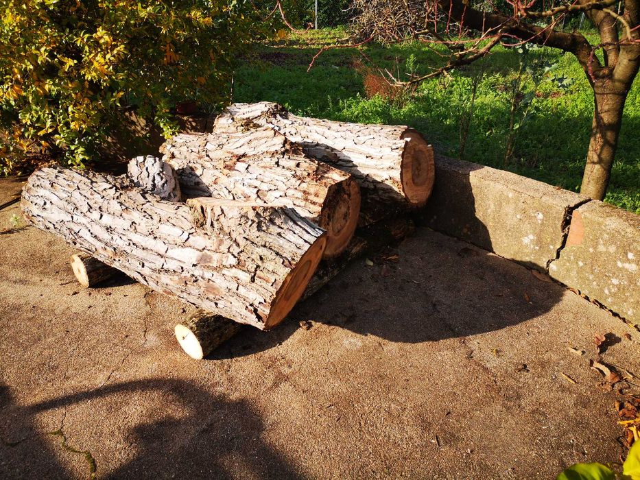 Madeira de NOGUEIRA para esculturas