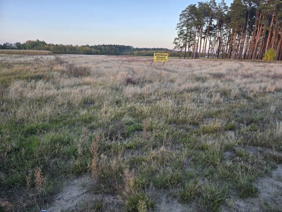 Działki budowlane Wierzbinek - Widok 5