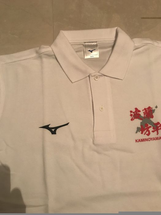 Koszulka do treningiw i chodzenia mizuno oryginalna z japonii