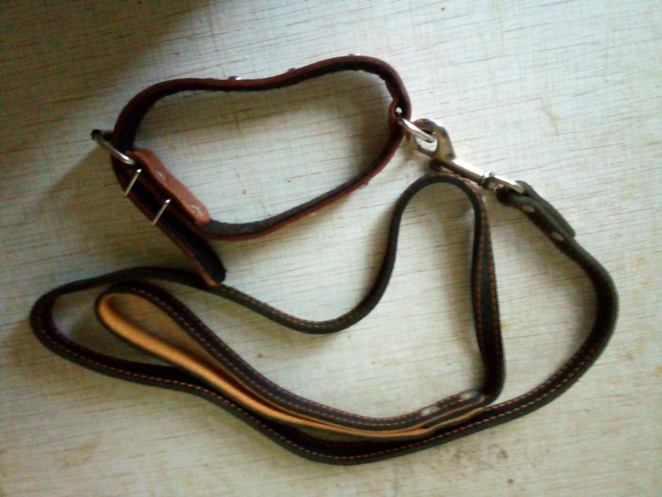 Поводки и ошейники для собак продажа одним  лотом цена за все