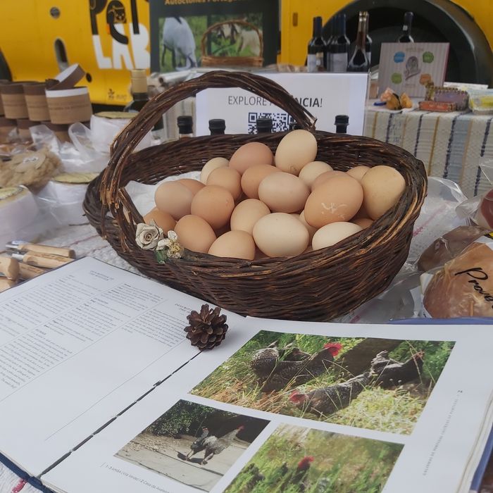 Ovos para incubação- raças autóctones
