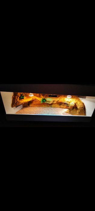 Okazja terrarium dla agamy gekona żółwia węża kameleona legwana węża