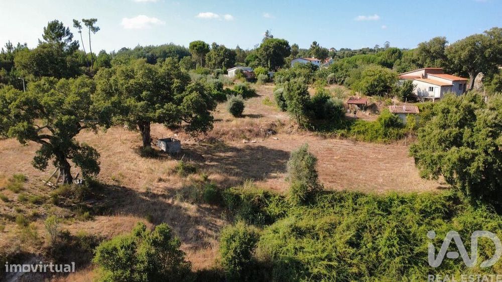 Agricultural Plot in Midões