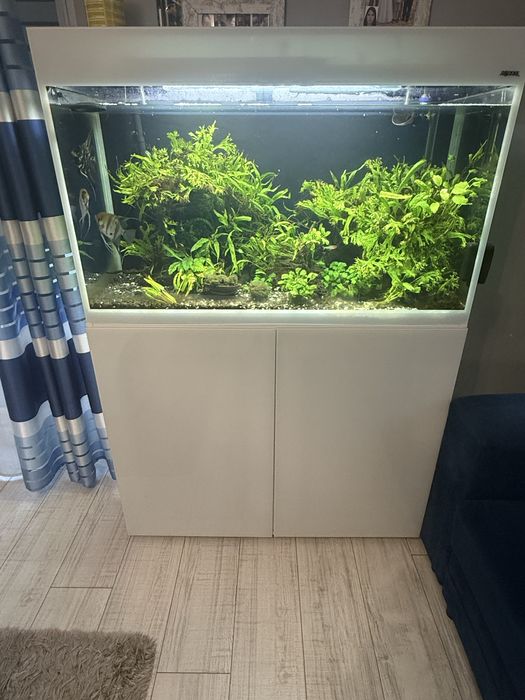 Aguael Glossy ST 100 , 240 litrów