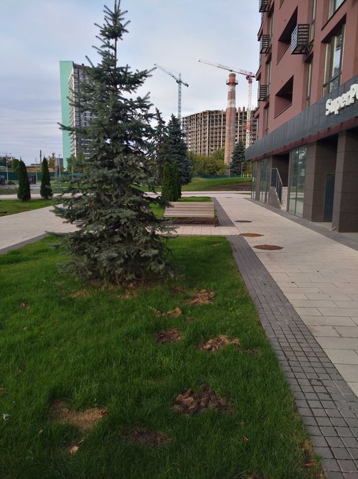 Dibrova Park Подільський Нивки Виноградар 2к на Віктора Некрасова 8