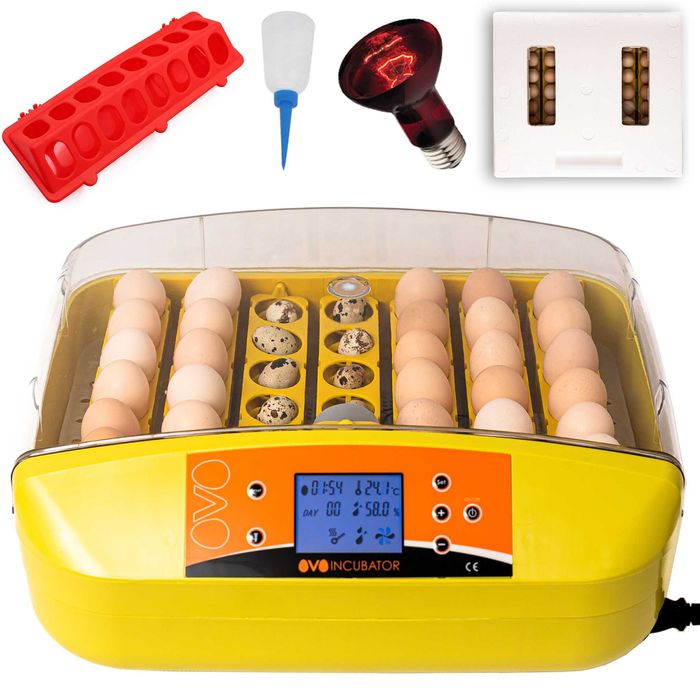 INKUBATOR OVO LĘGOWY FULL-Automat Automatyczny do JAJ 42 wylęgarnik