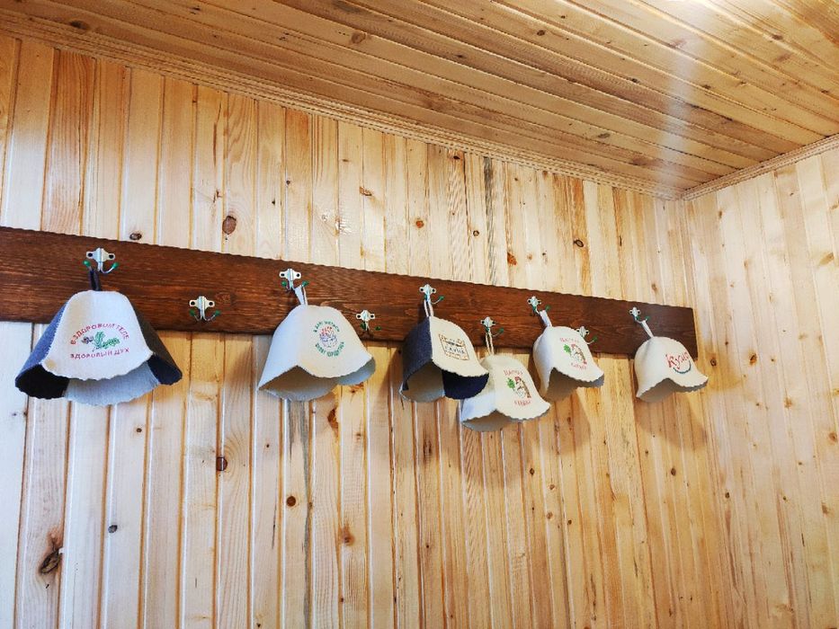 Отдых. Відпочинок в Карпатах. Аренда дома.Чани