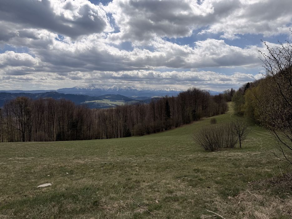Dzialka widokowa , dzialka z widokiem na tatry Grywałd 1,55 Hektara